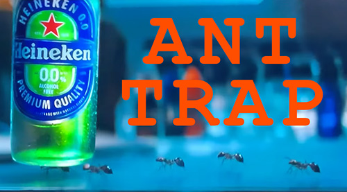 a heineken zero bottle being carried by ants with the words in big red letters, "ANT TRAP"