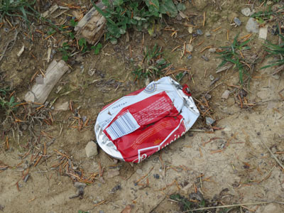 A crushed Budweiser can littering a forest.