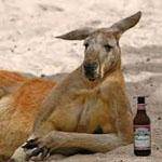 Alcohol takes its toll on Australia